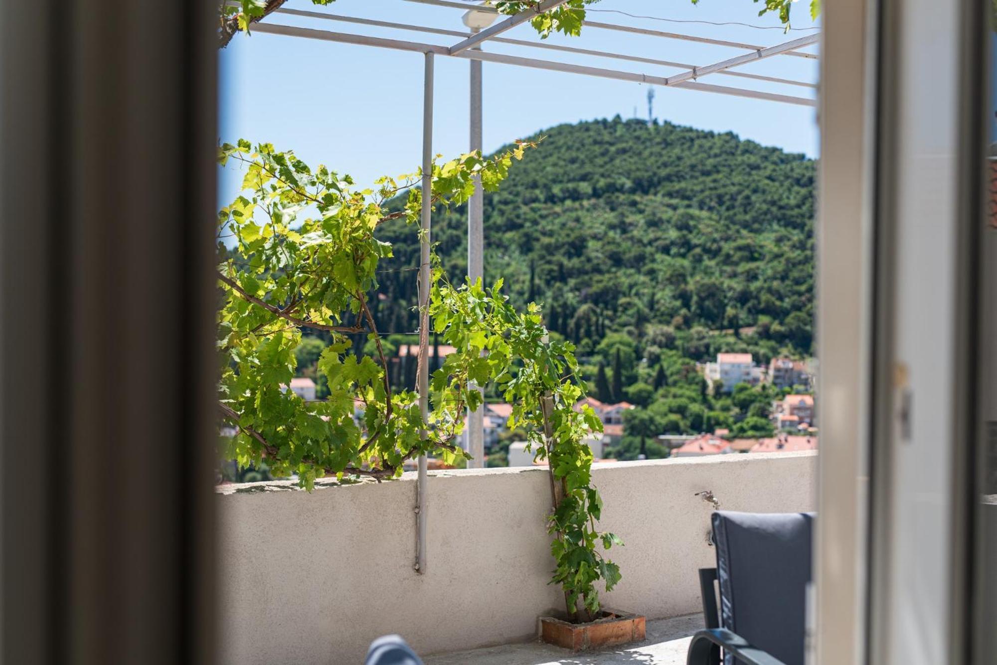 Guesthouse Niko Dubrovnik Ngoại thất bức ảnh